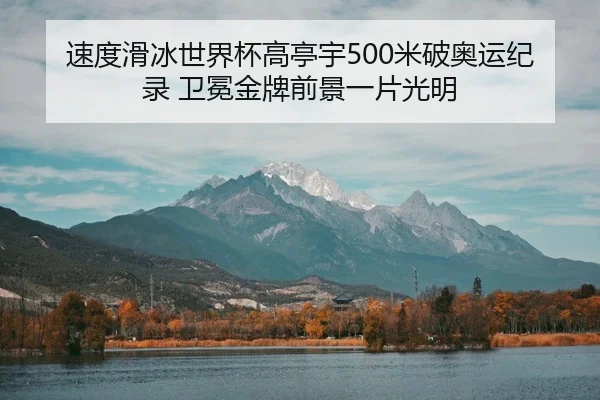 速度滑冰世界杯高亭宇500米破奥运纪录 卫冕金牌前景一片光明